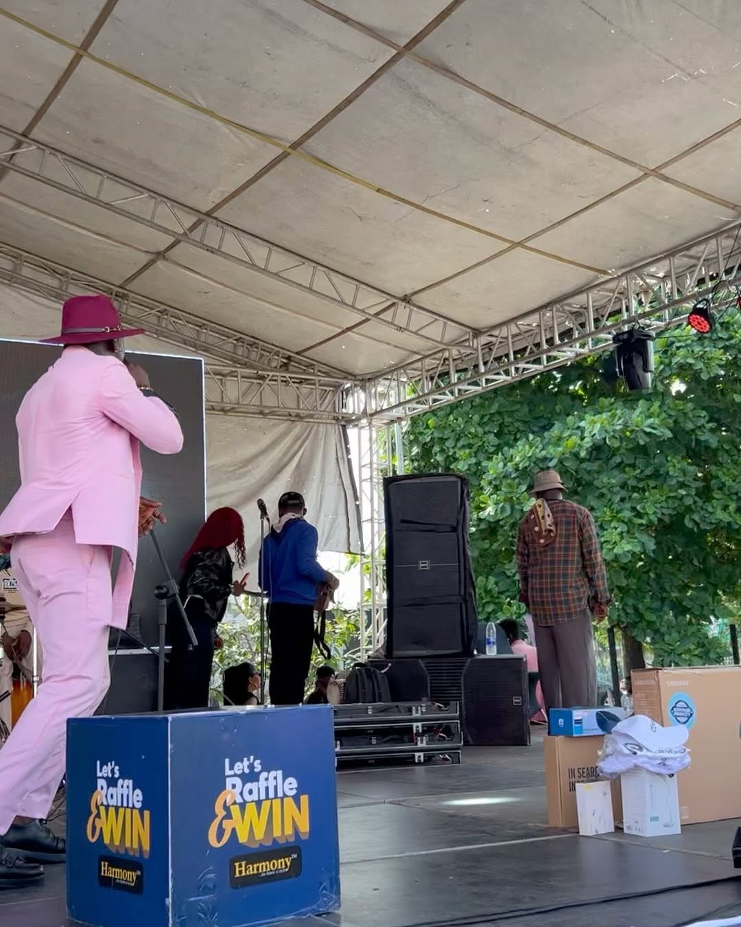 Concert Performance by TheCorporateMC in Nigeria